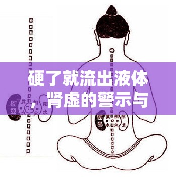 硬了就流出液體，腎虛的警示與調(diào)養(yǎng)之道