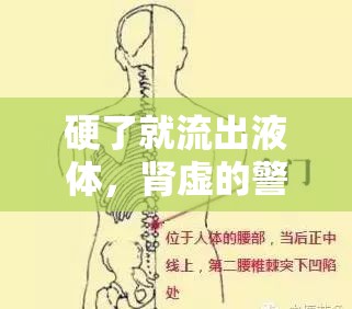 硬了就流出液體，腎虛的警示與調(diào)養(yǎng)之道