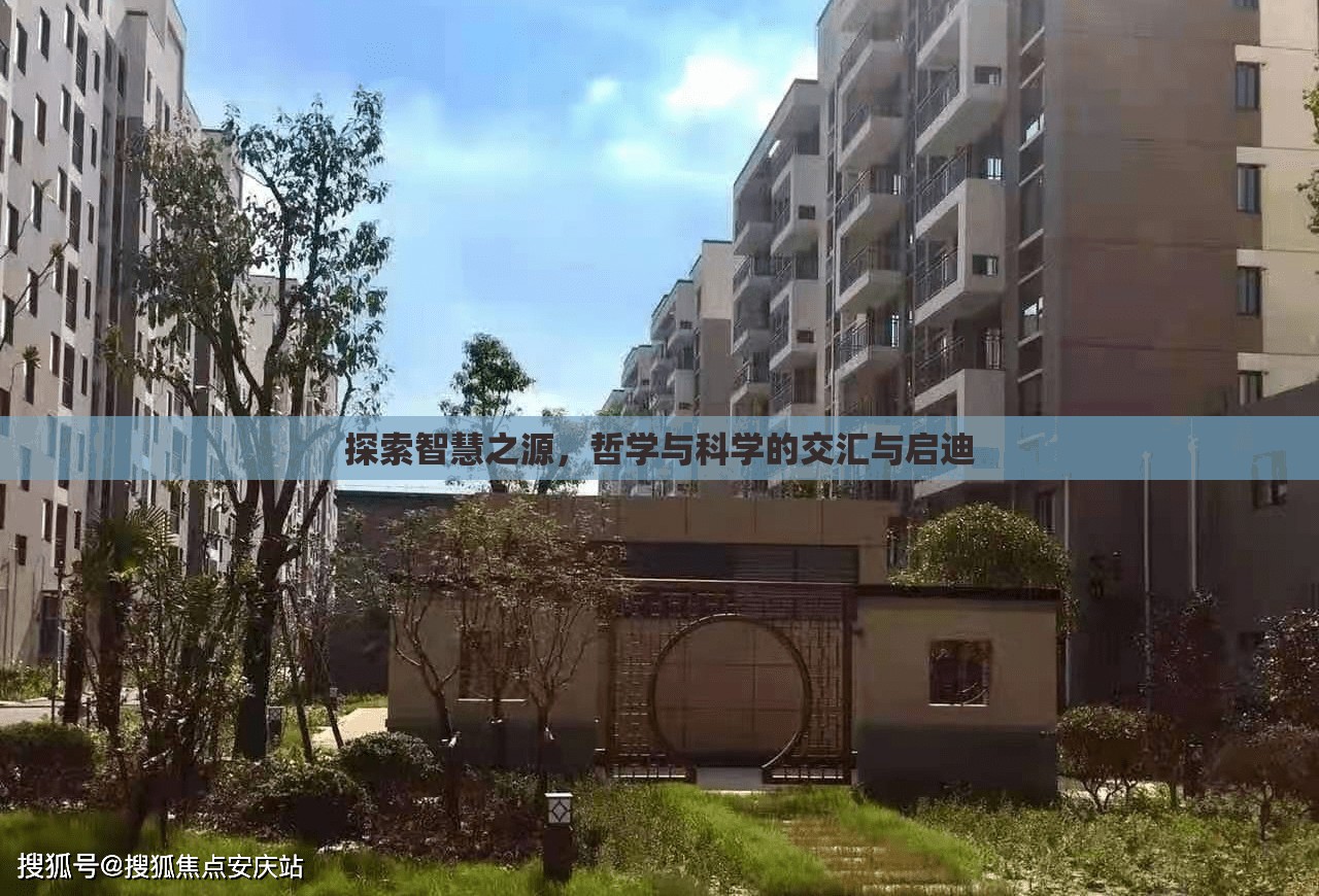 探索智慧之源，哲學(xué)與科學(xué)的交匯與啟迪
