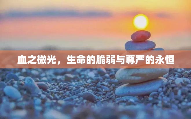 血之微光，生命的脆弱與尊嚴的永恒