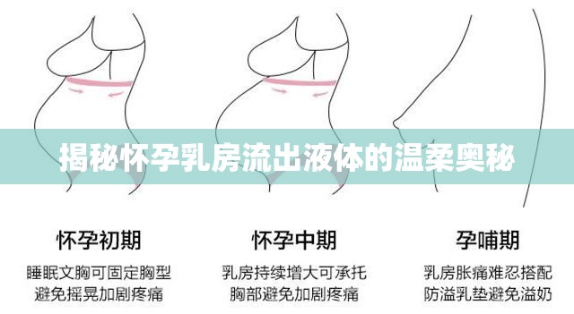 揭秘懷孕乳房流出液體的溫柔奧秘