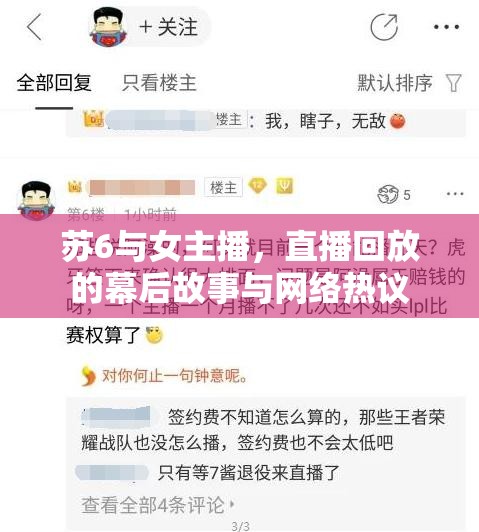 蘇6與女主播，直播回放的幕后故事與網(wǎng)絡(luò)熱議