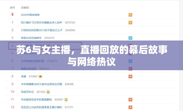 蘇6與女主播，直播回放的幕后故事與網(wǎng)絡(luò)熱議