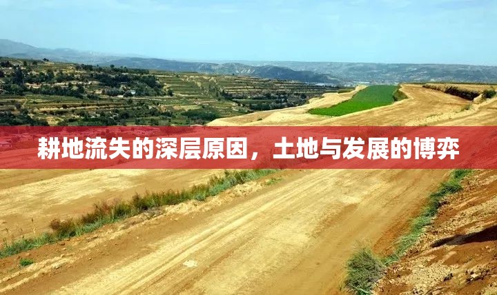 耕地流失的深層原因，土地與發(fā)展的博弈