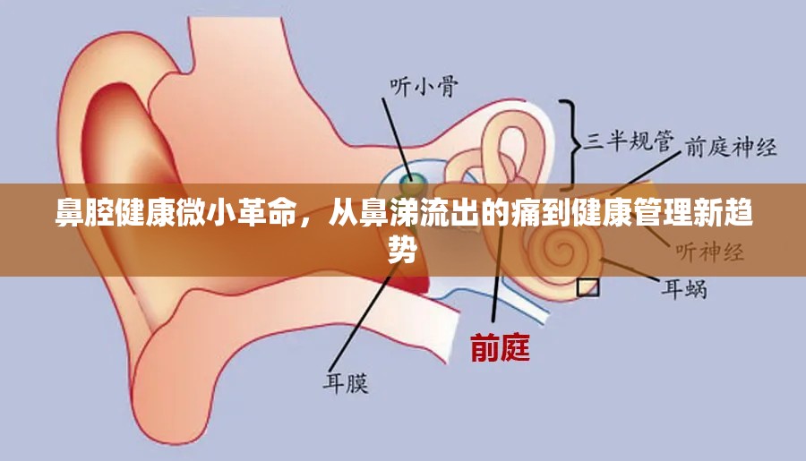鼻腔健康微小革命，從鼻涕流出的痛到健康管理新趨勢