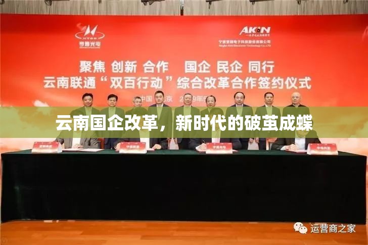 云南國企改革，新時代的破繭成蝶