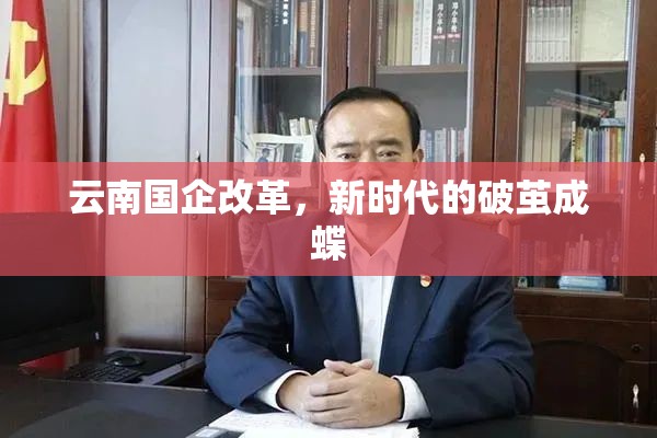 云南國企改革，新時代的破繭成蝶