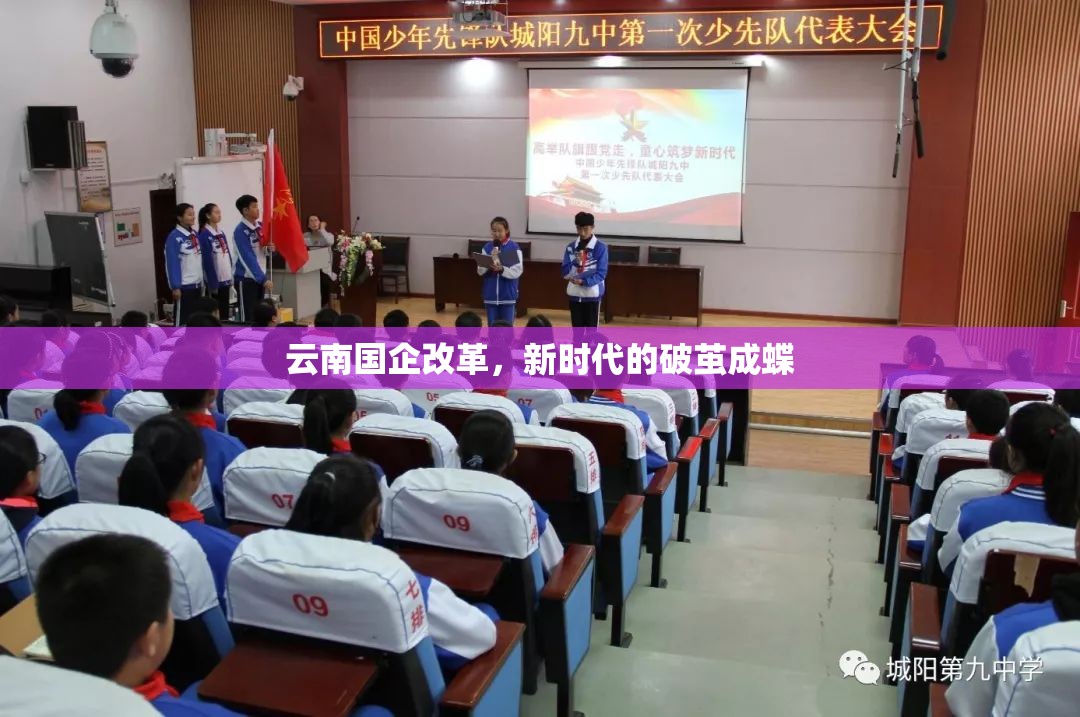 云南國企改革，新時代的破繭成蝶