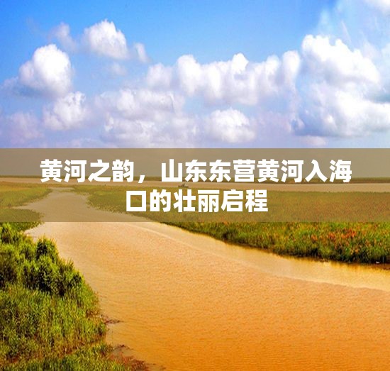 黃河之韻，山東東營黃河入?？诘膲邀悊⒊? class=