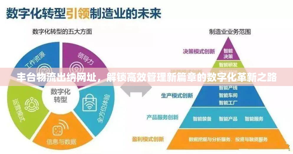 豐臺(tái)物流出納網(wǎng)址，解鎖高效管理新篇章的數(shù)字化革新之路