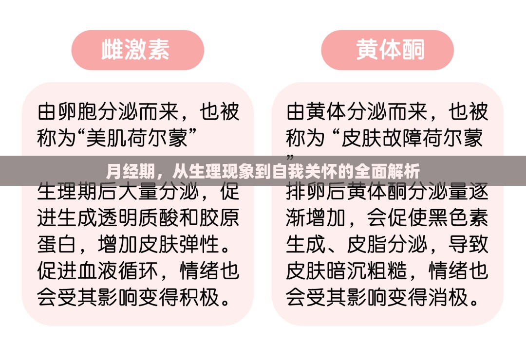 月經(jīng)期，從生理現(xiàn)象到自我關(guān)懷的全面解析