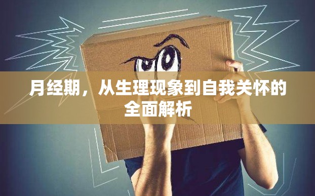月經(jīng)期，從生理現(xiàn)象到自我關(guān)懷的全面解析