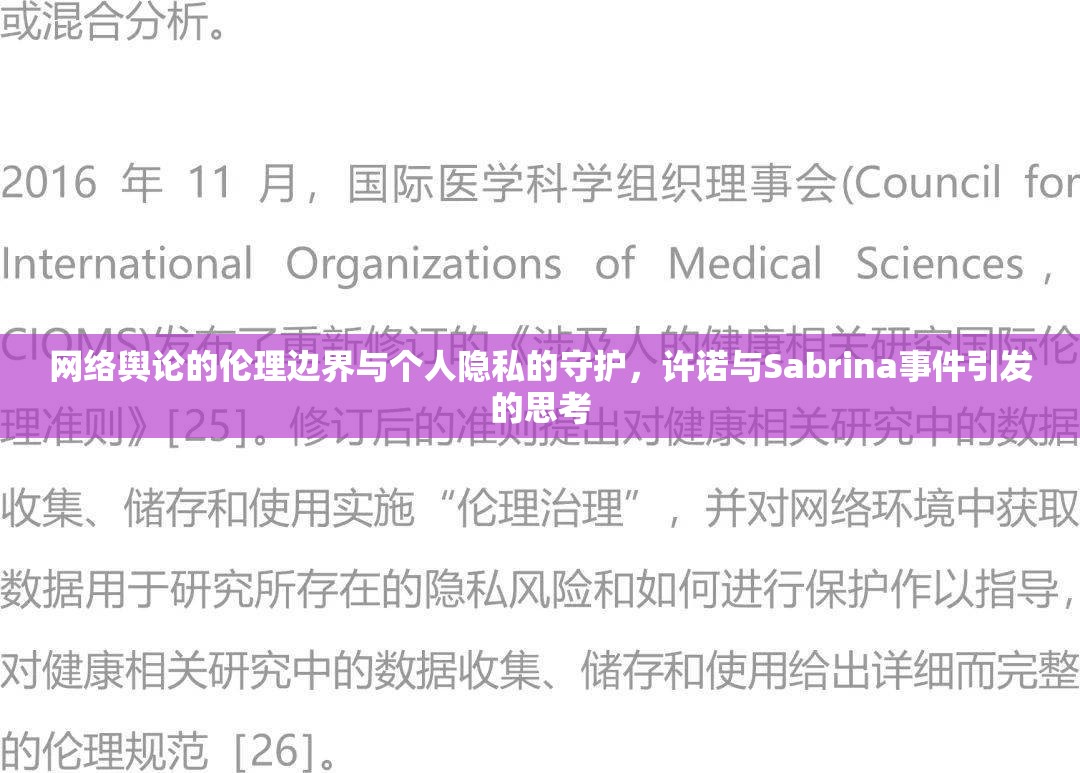 網(wǎng)絡(luò)輿論的倫理邊界與個(gè)人隱私的守護(hù)，許諾與Sabrina事件引發(fā)的思考