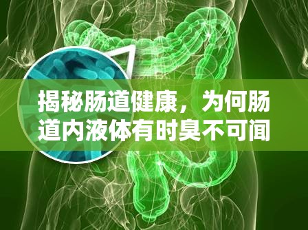 揭秘腸道健康，為何腸道內(nèi)液體有時(shí)臭不可聞？