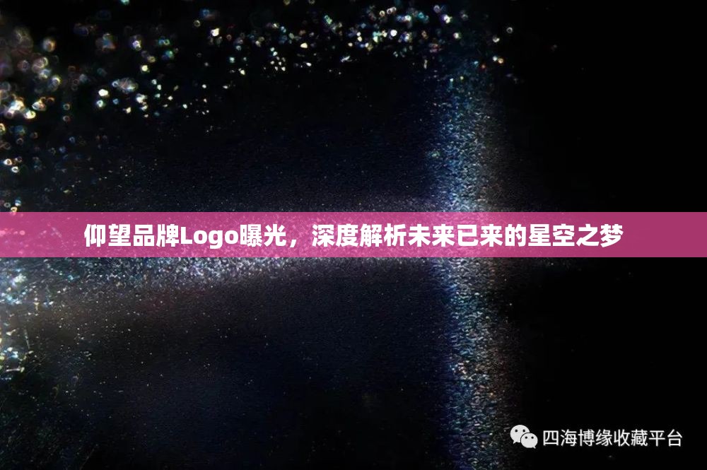 仰望品牌Logo曝光，深度解析未來(lái)已來(lái)的星空之夢(mèng)