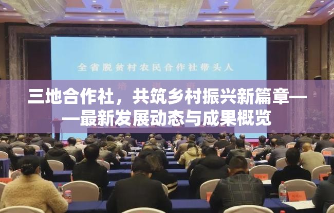 三地合作社，共筑鄉(xiāng)村振興新篇章——最新發(fā)展動態(tài)與成果概覽