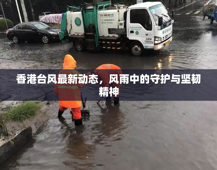 香港臺風(fēng)最新動(dòng)態(tài)，風(fēng)雨中的守護(hù)與堅(jiān)韌精神