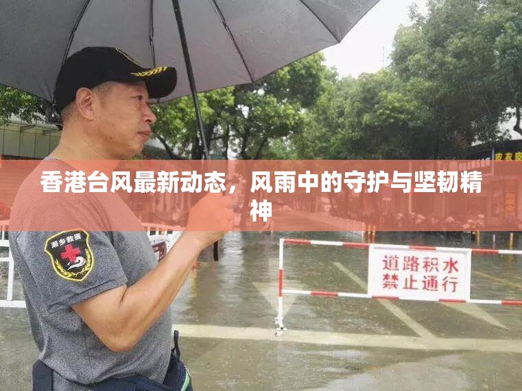香港臺風(fēng)最新動(dòng)態(tài)，風(fēng)雨中的守護(hù)與堅(jiān)韌精神