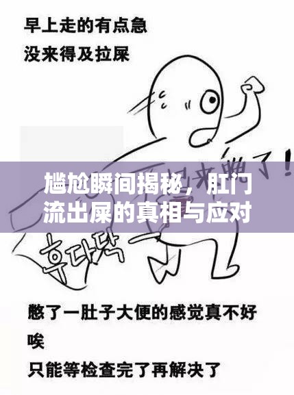 尷尬瞬間揭秘，肛門流出屎的真相與應(yīng)對(duì)策略