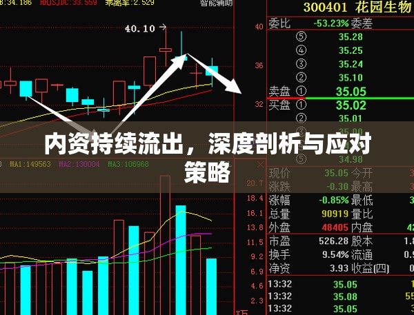 內(nèi)資持續(xù)流出，深度剖析與應(yīng)對策略