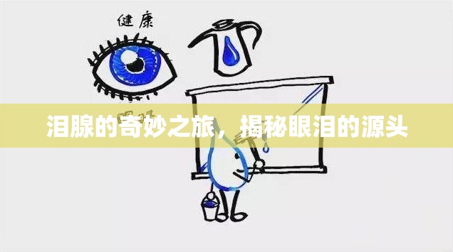 淚腺的奇妙之旅，揭秘眼淚的源頭