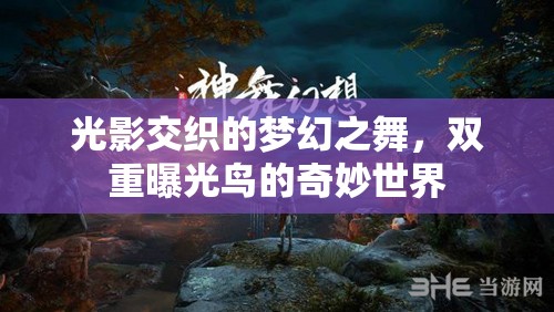 光影交織的夢(mèng)幻之舞，雙重曝光鳥的奇妙世界