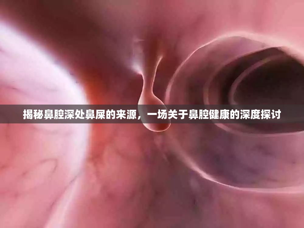 揭秘鼻腔深處鼻屎的來源，一場關(guān)于鼻腔健康的深度探討