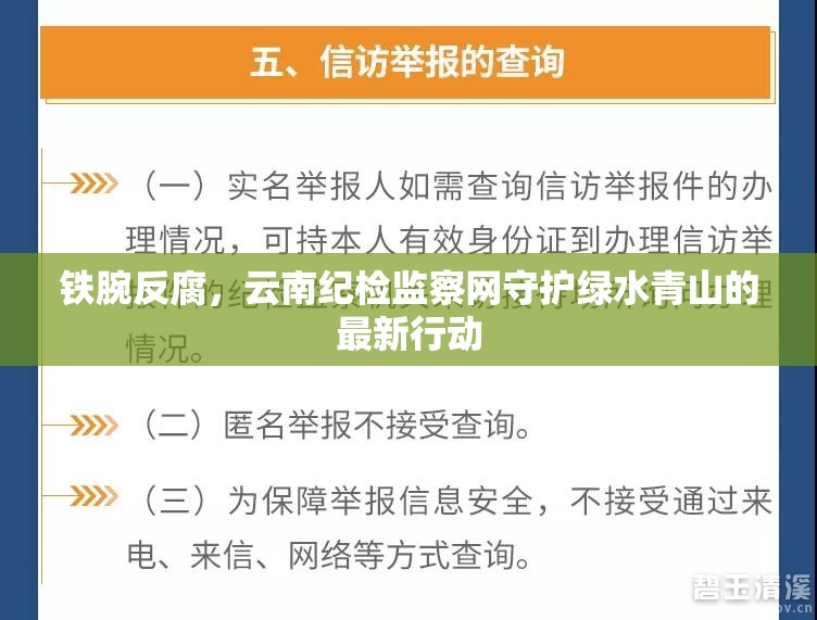 鐵腕反腐，云南紀(jì)檢監(jiān)察網(wǎng)守護(hù)綠水青山的最新行動(dòng)
