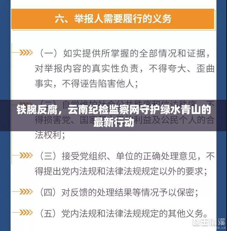 鐵腕反腐，云南紀(jì)檢監(jiān)察網(wǎng)守護(hù)綠水青山的最新行動(dòng)