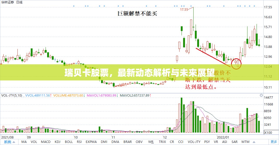 瑞貝卡股票，最新動態(tài)解析與未來展望