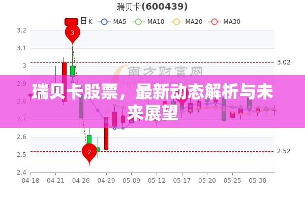 瑞貝卡股票，最新動態(tài)解析與未來展望