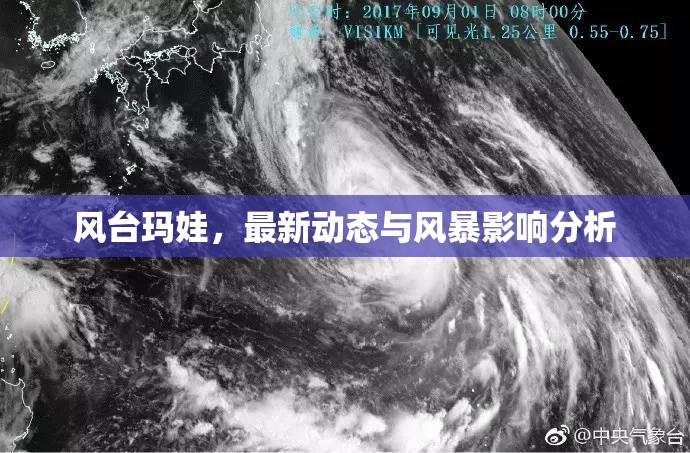風臺瑪娃，最新動態(tài)與風暴影響分析
