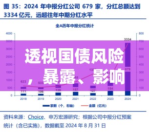 透視國債風險，暴露、影響與應對策略