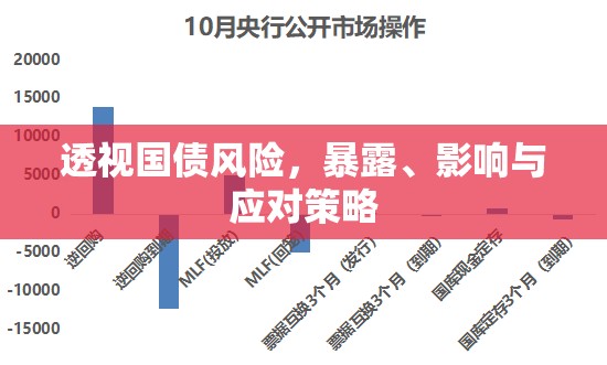 透視國債風險，暴露、影響與應對策略