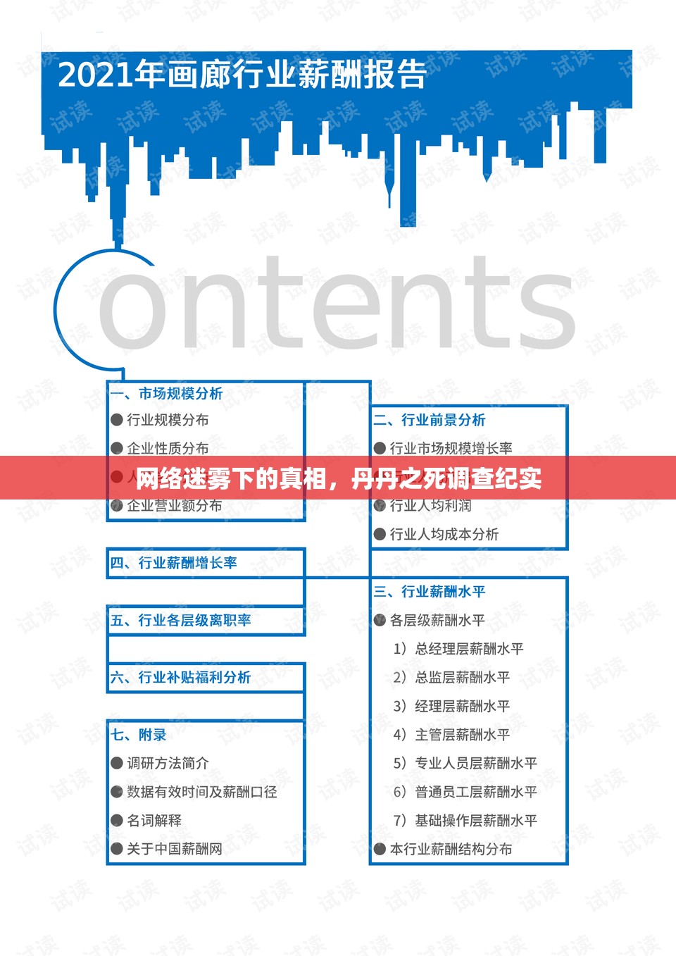 網(wǎng)絡(luò)迷霧下的真相，丹丹之死調(diào)查紀(jì)實(shí)