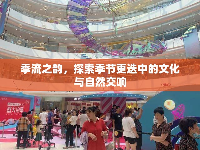 季流之韻，探索季節(jié)更迭中的文化與自然交響