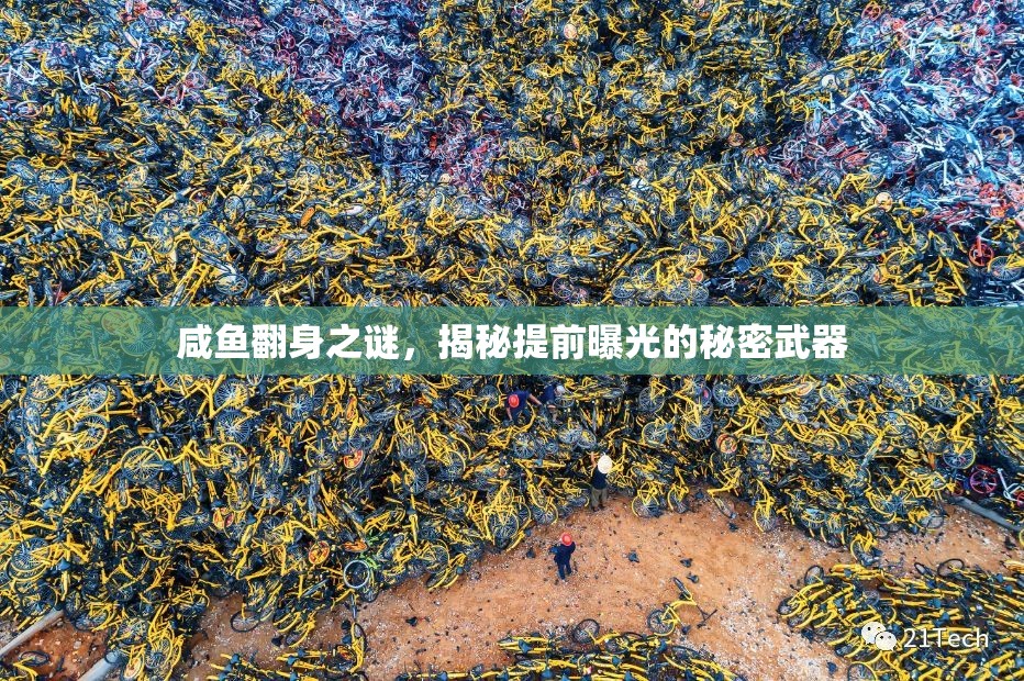 咸魚翻身之謎，揭秘提前曝光的秘密武器
