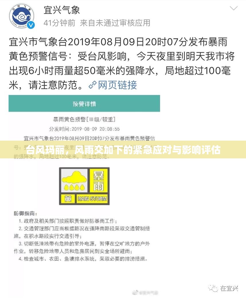臺風(fēng)瑪麗，風(fēng)雨交加下的緊急應(yīng)對與影響評估