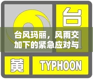 臺風(fēng)瑪麗，風(fēng)雨交加下的緊急應(yīng)對與影響評估