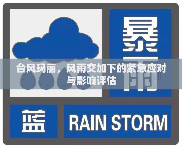 臺風(fēng)瑪麗，風(fēng)雨交加下的緊急應(yīng)對與影響評估