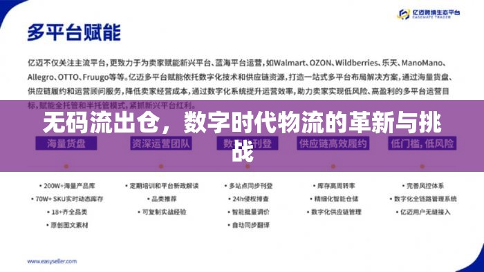 無(wú)碼流出倉(cāng)，數(shù)字時(shí)代物流的革新與挑戰(zhàn)