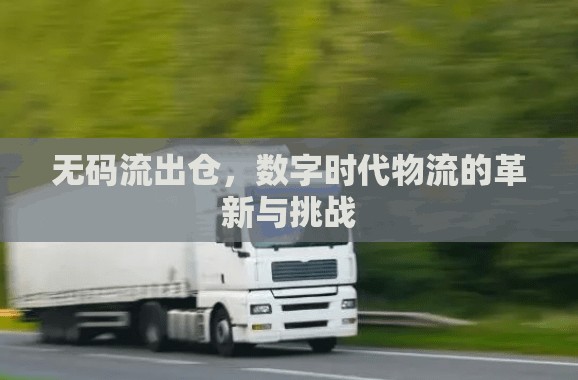 無(wú)碼流出倉(cāng)，數(shù)字時(shí)代物流的革新與挑戰(zhàn)