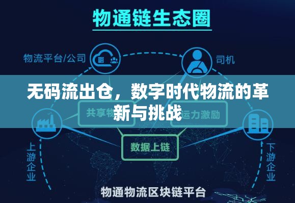無(wú)碼流出倉(cāng)，數(shù)字時(shí)代物流的革新與挑戰(zhàn)