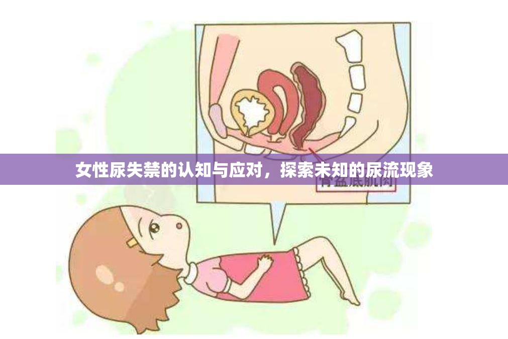 女性尿失禁的認知與應(yīng)對，探索未知的尿流現(xiàn)象