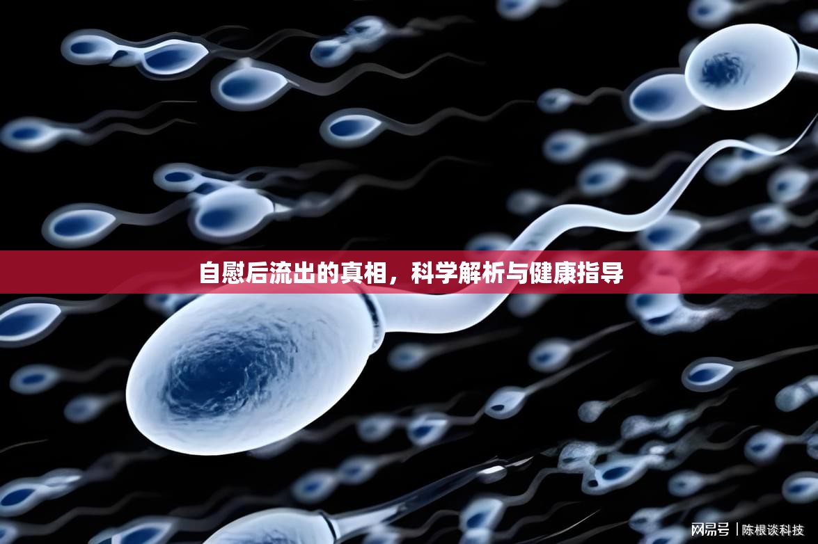自慰后流出的真相，科學(xué)解析與健康指導(dǎo)