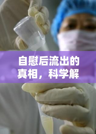 自慰后流出的真相，科學(xué)解析與健康指導(dǎo)