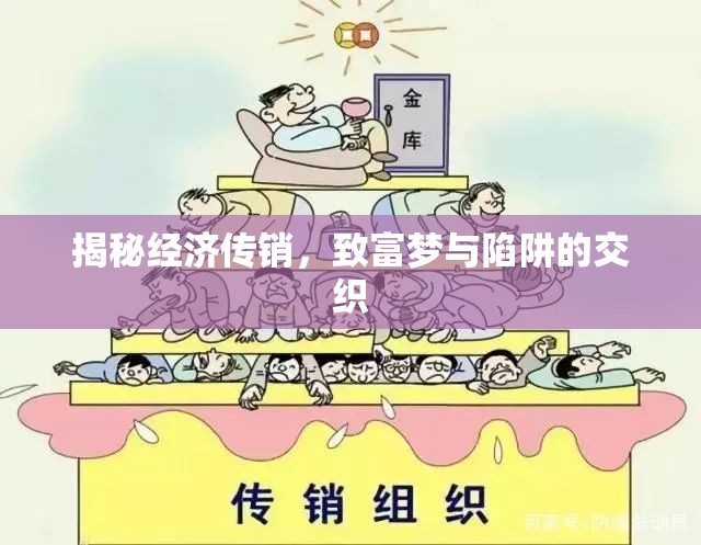 揭秘經(jīng)濟傳銷，致富夢與陷阱的交織