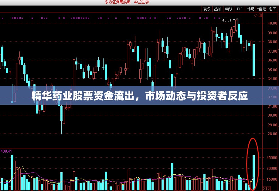 精華藥業(yè)股票資金流出，市場動態(tài)與投資者反應(yīng)