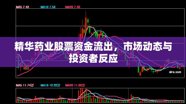 精華藥業(yè)股票資金流出，市場動態(tài)與投資者反應(yīng)
