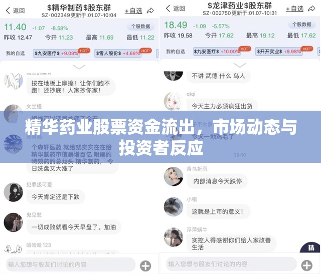 精華藥業(yè)股票資金流出，市場動態(tài)與投資者反應(yīng)